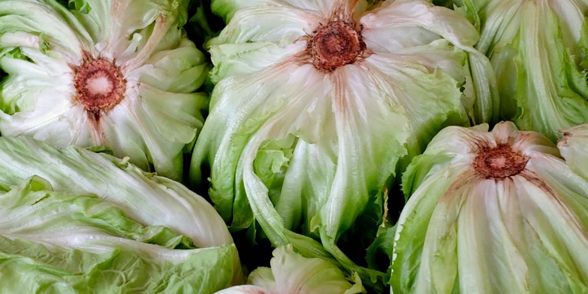 Residui di fitofarmaci: controlli a campione obbligatori anche per la distribuzione